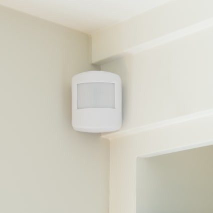 Long Island motion sensor